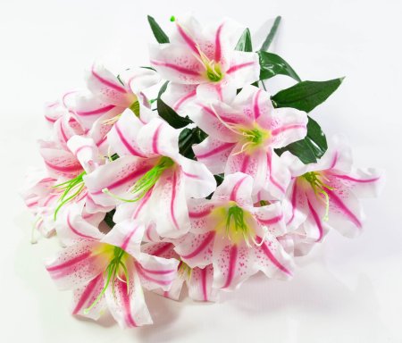 Лилия "Медовая луна" 12 цветков