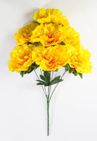 Пион "Гарант" 7 цветков