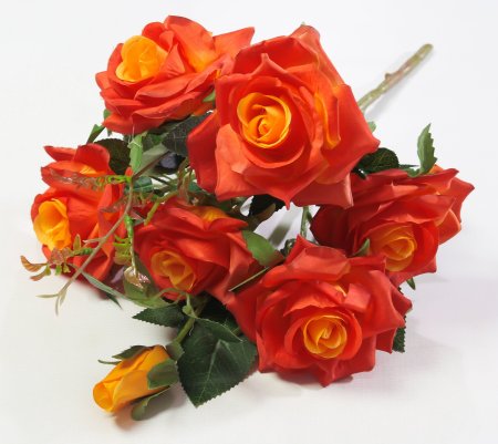 Букет роз Андриатика 6 цветков