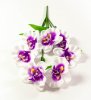 Букет орхидеи 10 веток 10 цветков