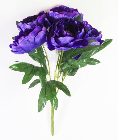 Букет пиона "Мэджик" 5 цветков