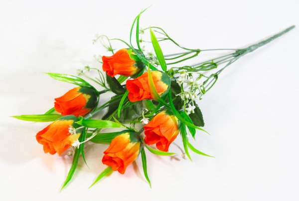 Роза "Сольфеджио" 6 цветков