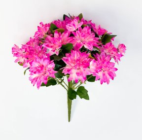 Георгин "Иволга" 15 цветков