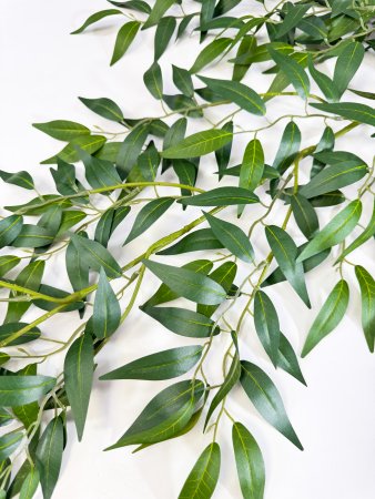 картинка Ампельная остролистная олива большая от магазина KALINA