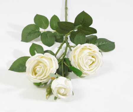 Ветка розы 3 цветка с латексным покрытием молочная