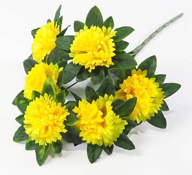 Гвоздика "Водопад цвета" 6 цветков от магазина KALINA являющийся официальным дистрибьютором в России 
