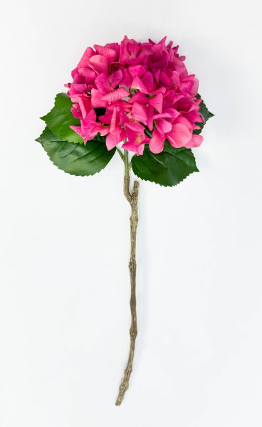 Гортензия «Малиновый сорбет»