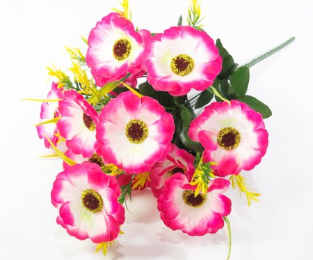 Тунбергия 12 цветков