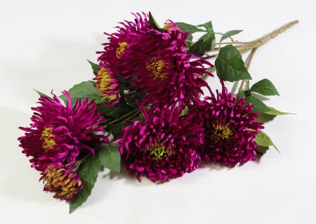 Ветка хризантем "Зембла" 5 цветков 2 бутона