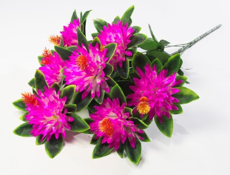 Хризантема "Ариадна" 7 цветков