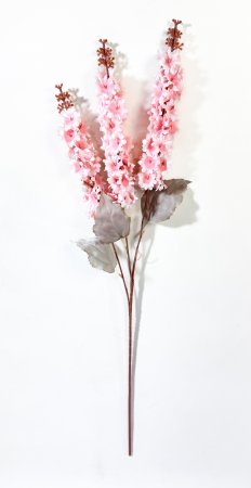 Дельфиниум Суфле светло-розовый