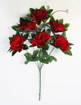 Гвоздика "Рапсодия" 6 цветков от магазина KALINA являющийся официальным дистрибьютором в России 
