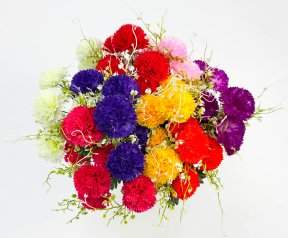 Хризантема "Бигуди"   7 цветков