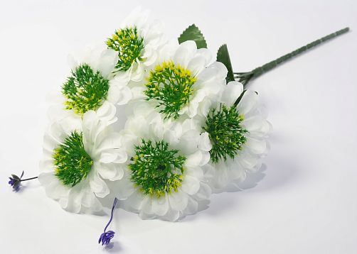 Букет цинний 6 цветков от магазина KALINA являющийся официальным дистрибьютором в России 