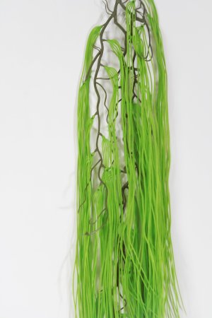 картинка Ветка тилландсии светло-зеленая от магазина KALINA