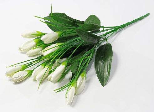 Крокус 21 цветок от магазина KALINA являющийся официальным дистрибьютором в России 