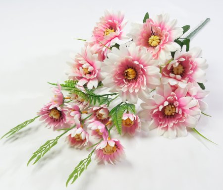 Георгин "Очарование" 11 веток