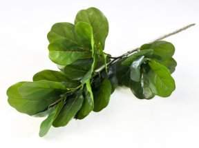 Лирата 29 листов