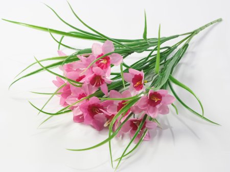 Букет нарцисса 15 цветков