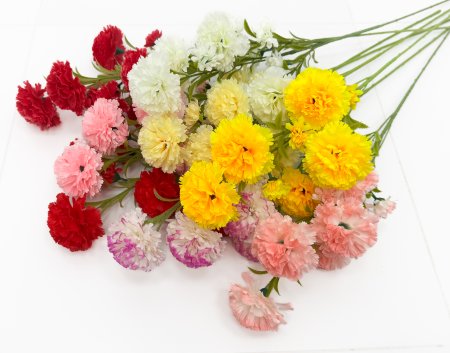 Ветка гвоздики 5 цветков 5 бутонов