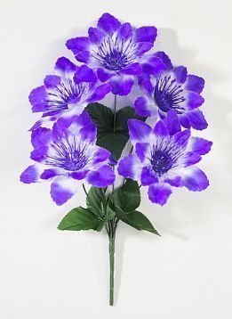 Астра "Кристелла" 5 цветков от магазина KALINA являющийся официальным дистрибьютором в России 