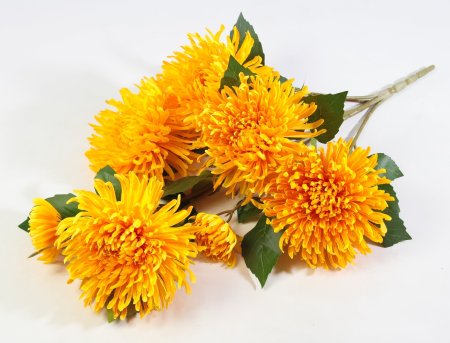Ветка хризантем "Зембла" 5 цветков 2 бутона
