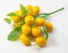 Веточка лимона