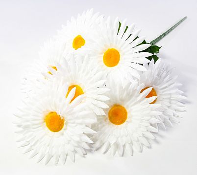 Ромашка "Голиаф" 7 цветков от магазина KALINA являющийся официальным дистрибьютором в России 