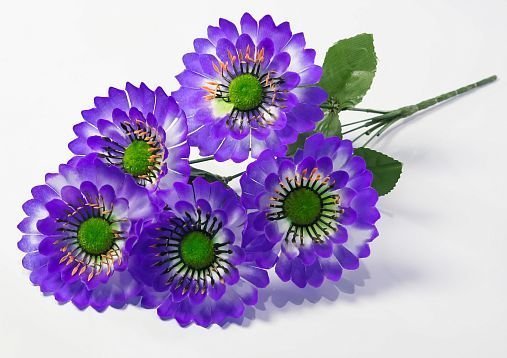 Букет ромашек "Паприка" 5 цветков от магазина KALINA являющийся официальным дистрибьютором в России 