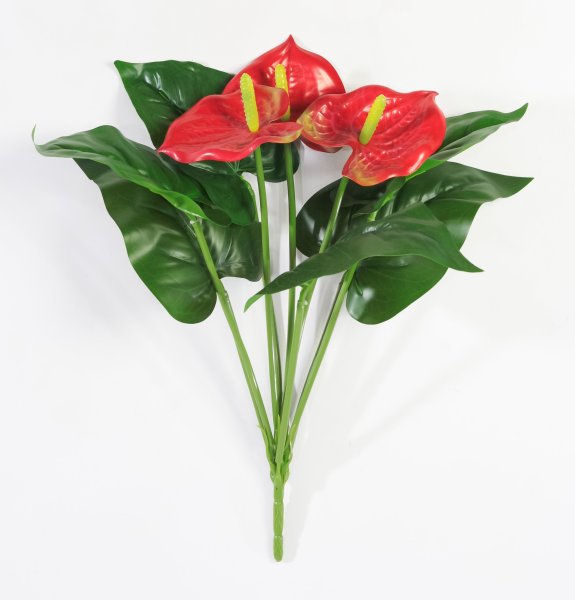 Антуриум "Красный"  3 цветка