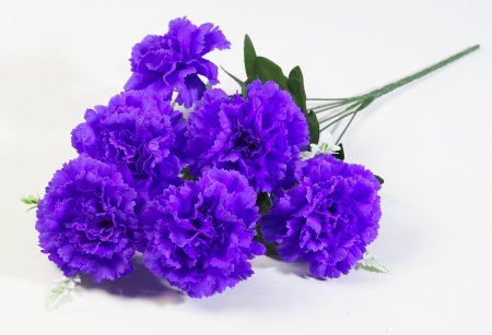 Букет гвоздик Монпансье 6 цветков