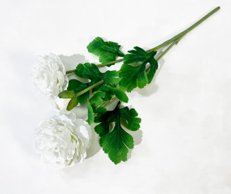 Пион Махровый 2 цветка 1 бутон белый