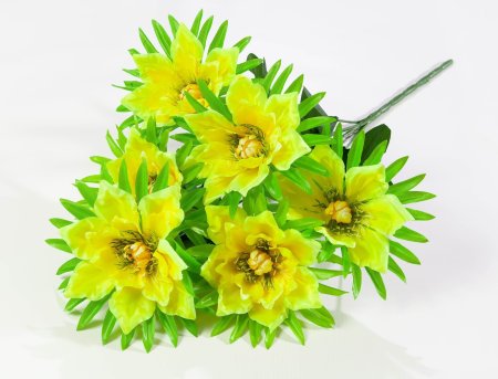 eb6ed7377ab4d272208ed8e045866c6e