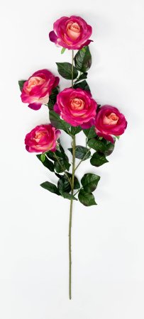 Роза ветка "Ария" 5 цветков