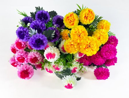 Шафран Пампушка 11 цветков