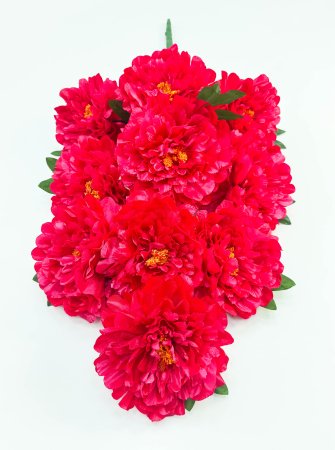 Пион "Великан" 10 цветков
