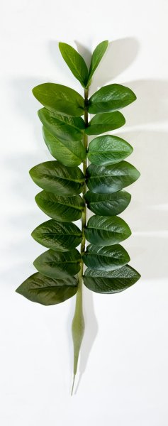 картинка Замиокулькас 2 (18 листов) от магазина KALINA