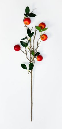 Ветка красной ранетки 5 плодов