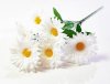 Ромашка "Белая дама" 6 веток