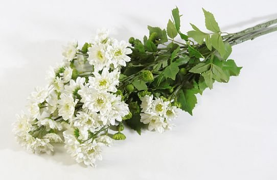 Ветка хризантемы кустовой белой от магазина KALINA являющийся официальным дистрибьютором в России 