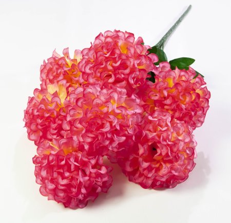 Шафран махровый 7 веток