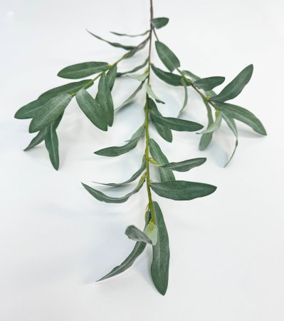 картинка Ветка оливы без ягод от магазина KALINA