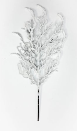 Ветка в снегу "Изморось"