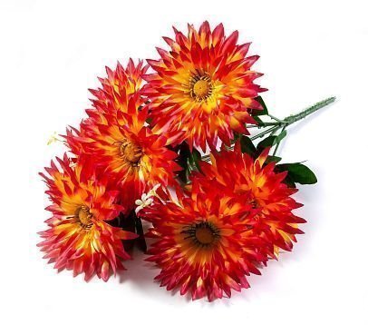 Букет астры "Игла" 7 веток 7 цветков от магазина KALINA являющийся официальным дистрибьютором в России 