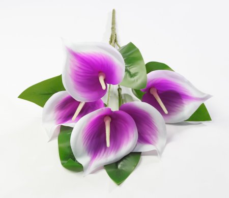 Букет калл Юбилейный 5 цветков