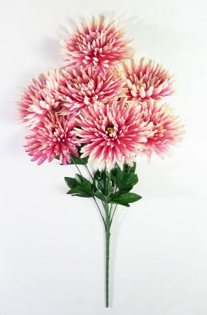 Хризантема "Танго" 7 цветков