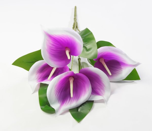 Букет калл "Юбилейный" 5 цветков