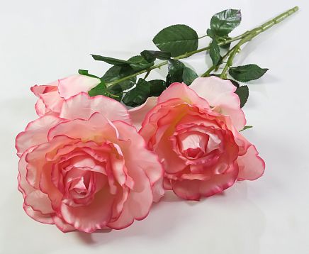 Ветка розы Кармен 2 цветка 1 бутон от магазина KALINA являющийся официальным дистрибьютором в России 