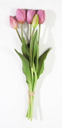 Букет тюльпанов 3+2 жимолость