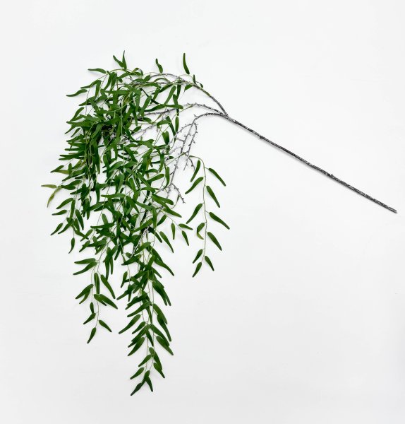 картинка Ива узколистная от магазина KALINA